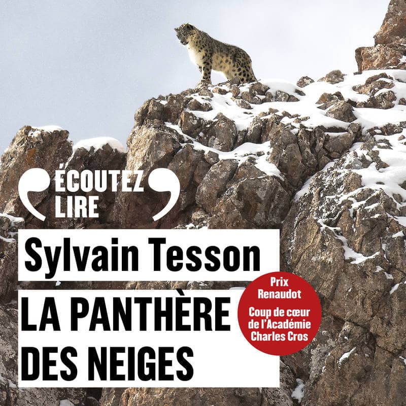 Couverture du livre audio La panthère des neiges De Sylvain Tesson 