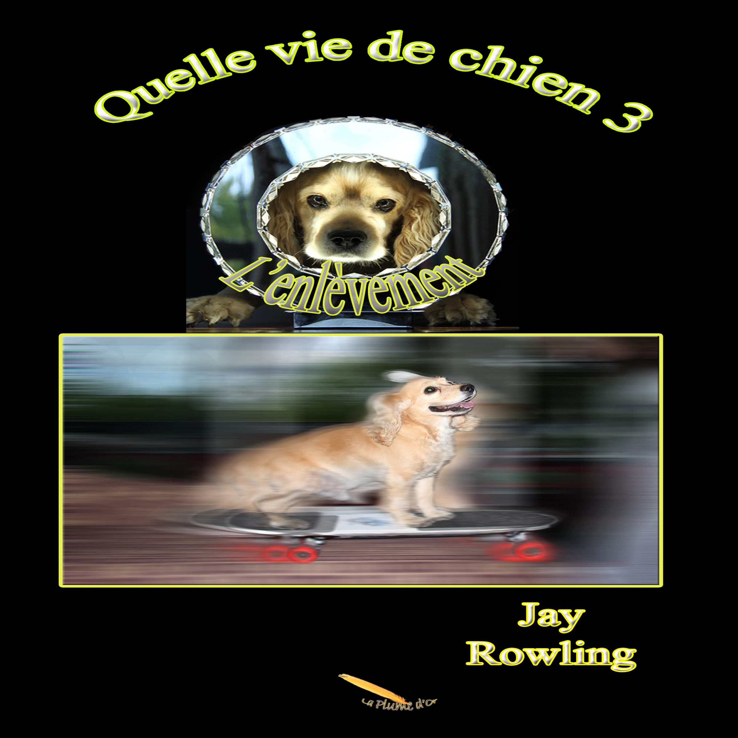 Couverture du livre audio Quelle vie de chien 3 De Jay Rowling 