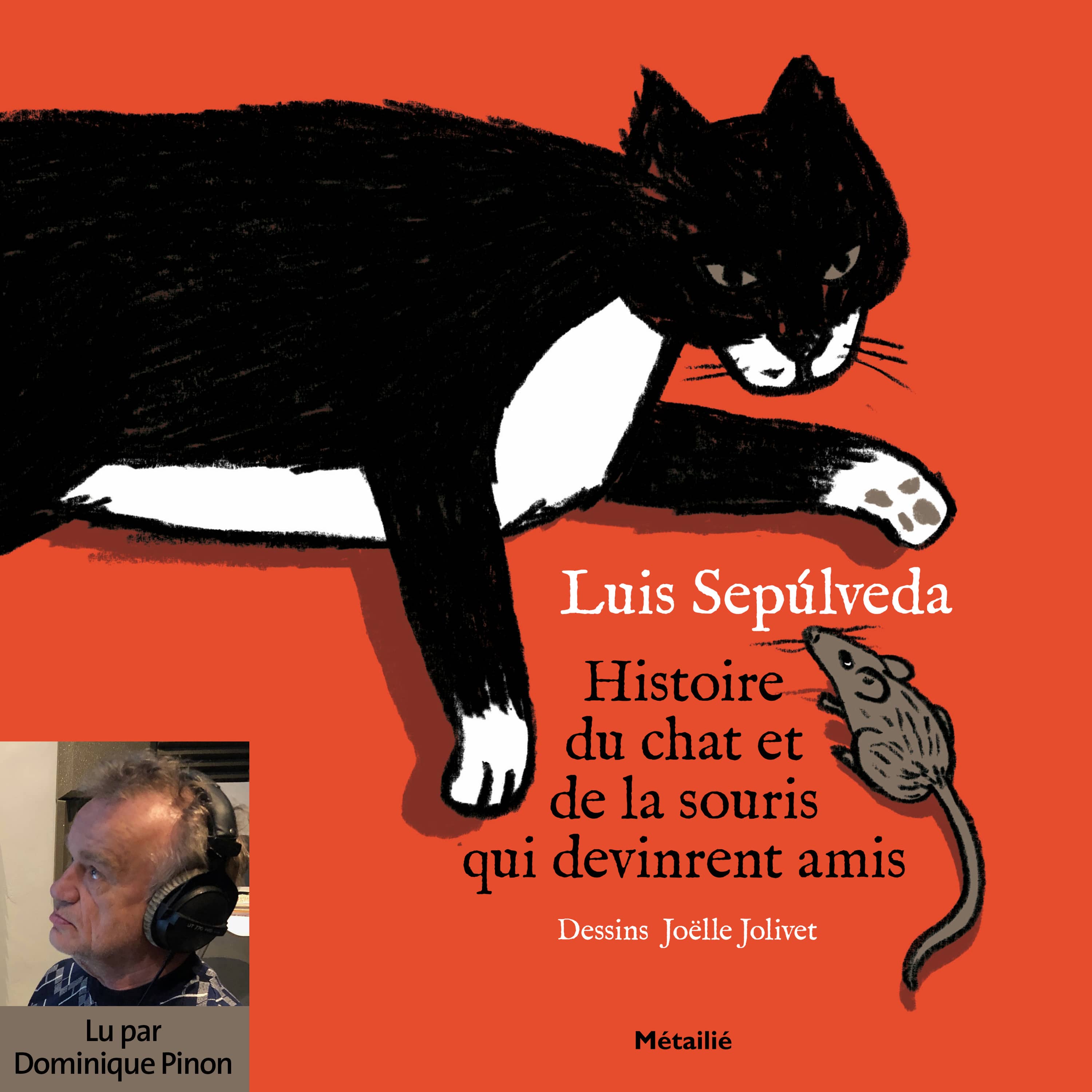 Couverture du livre audio Histoire du chat et de la souris qui devinrent amis De Luis Sepulveda 