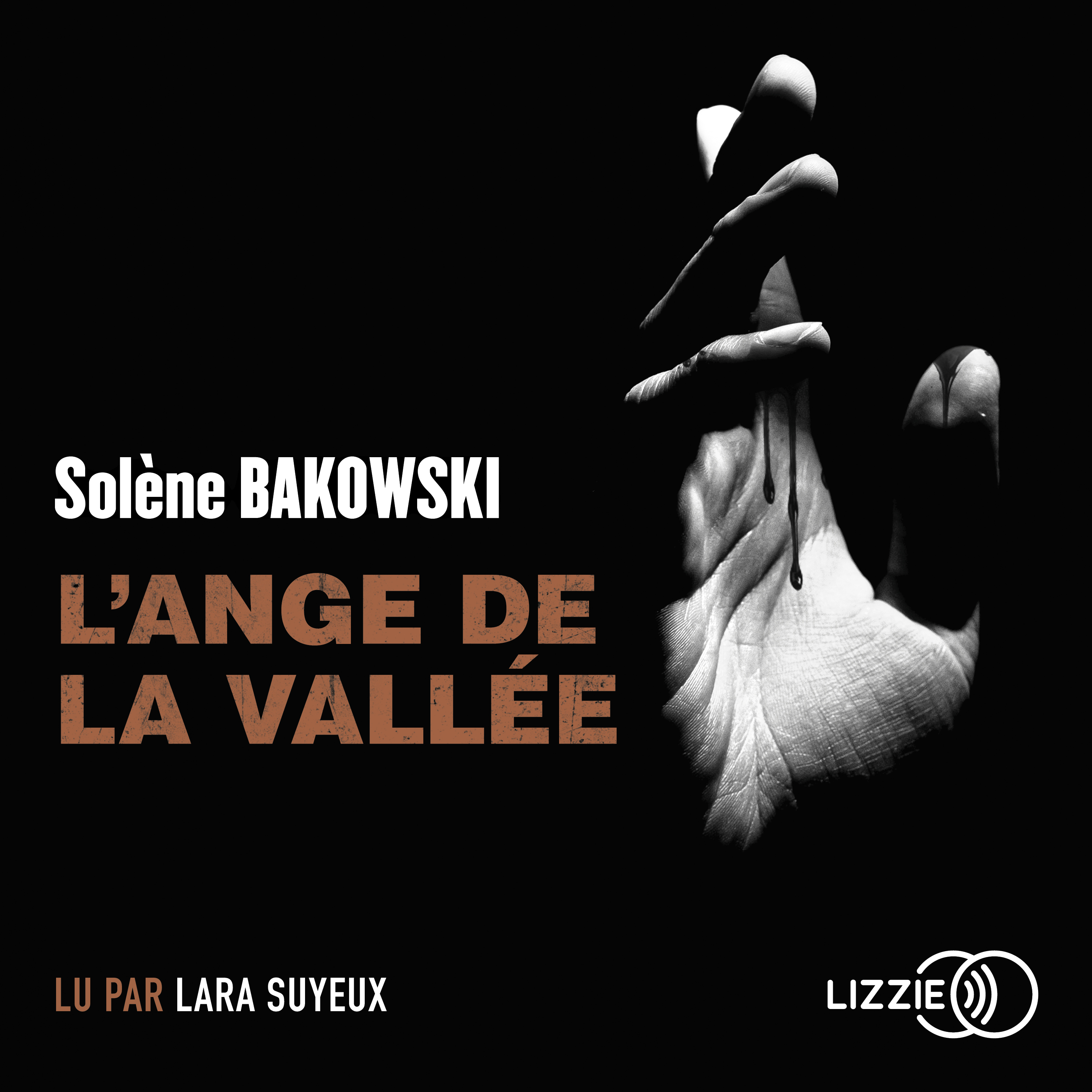Couverture du livre audio L'Ange de la Vallée De Solène Bakowski 