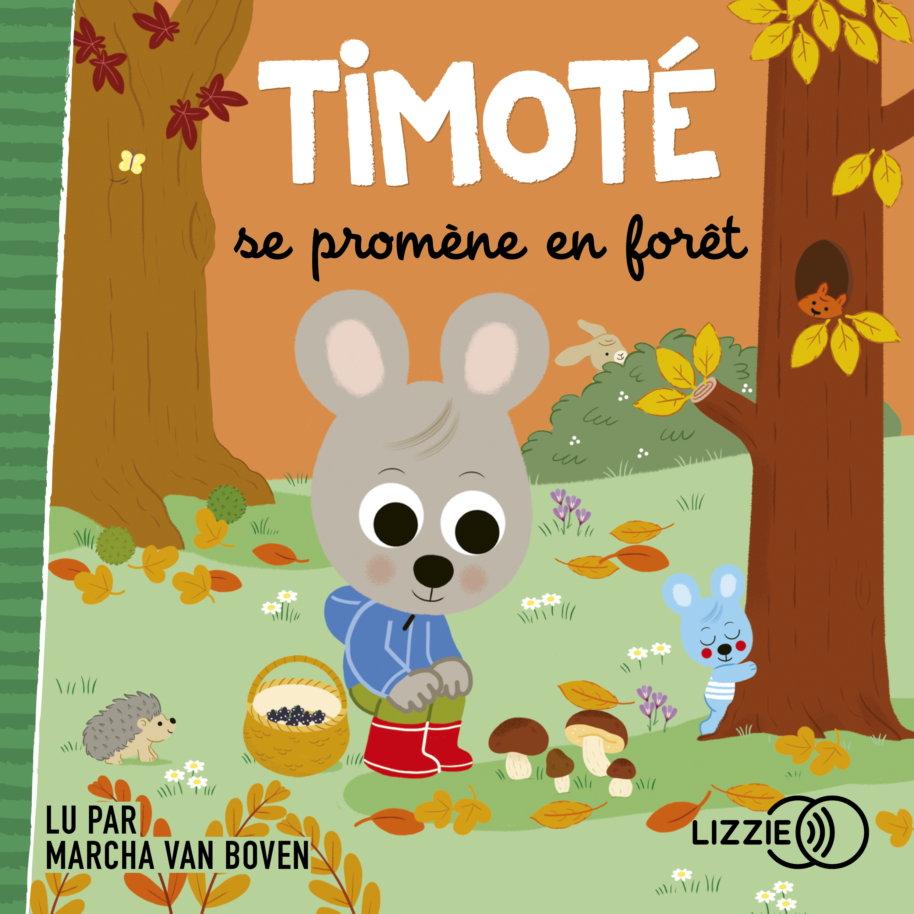 Couverture du livre audio Timoté se promène en forêt De Emmanuelle Massonaud  et Mélanie Combes 