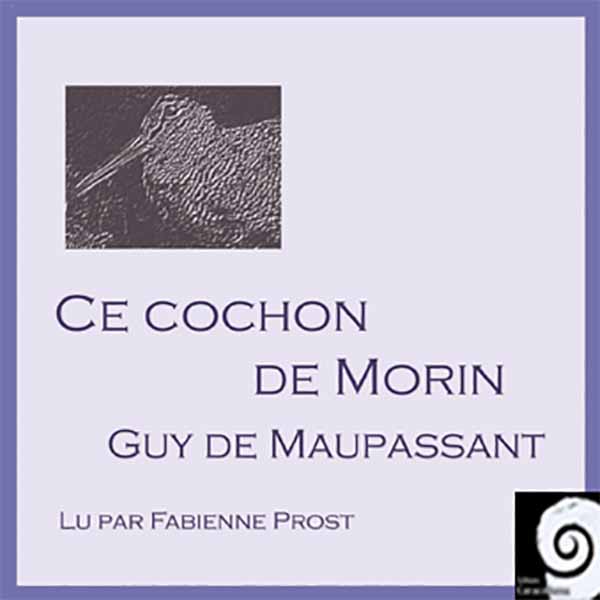 Couverture du livre audio Ce cochon de Morin De Guy de Maupassant 